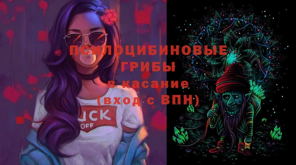 соль ск Алексеевка