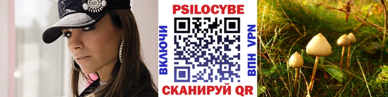 наркошоп  Светлоград  Псилоцибиновые грибы Psilocybine cubensis 