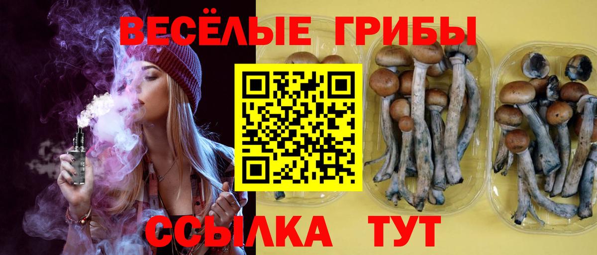 Галлюциногенные грибы Psilocybine cubensis Светлоград